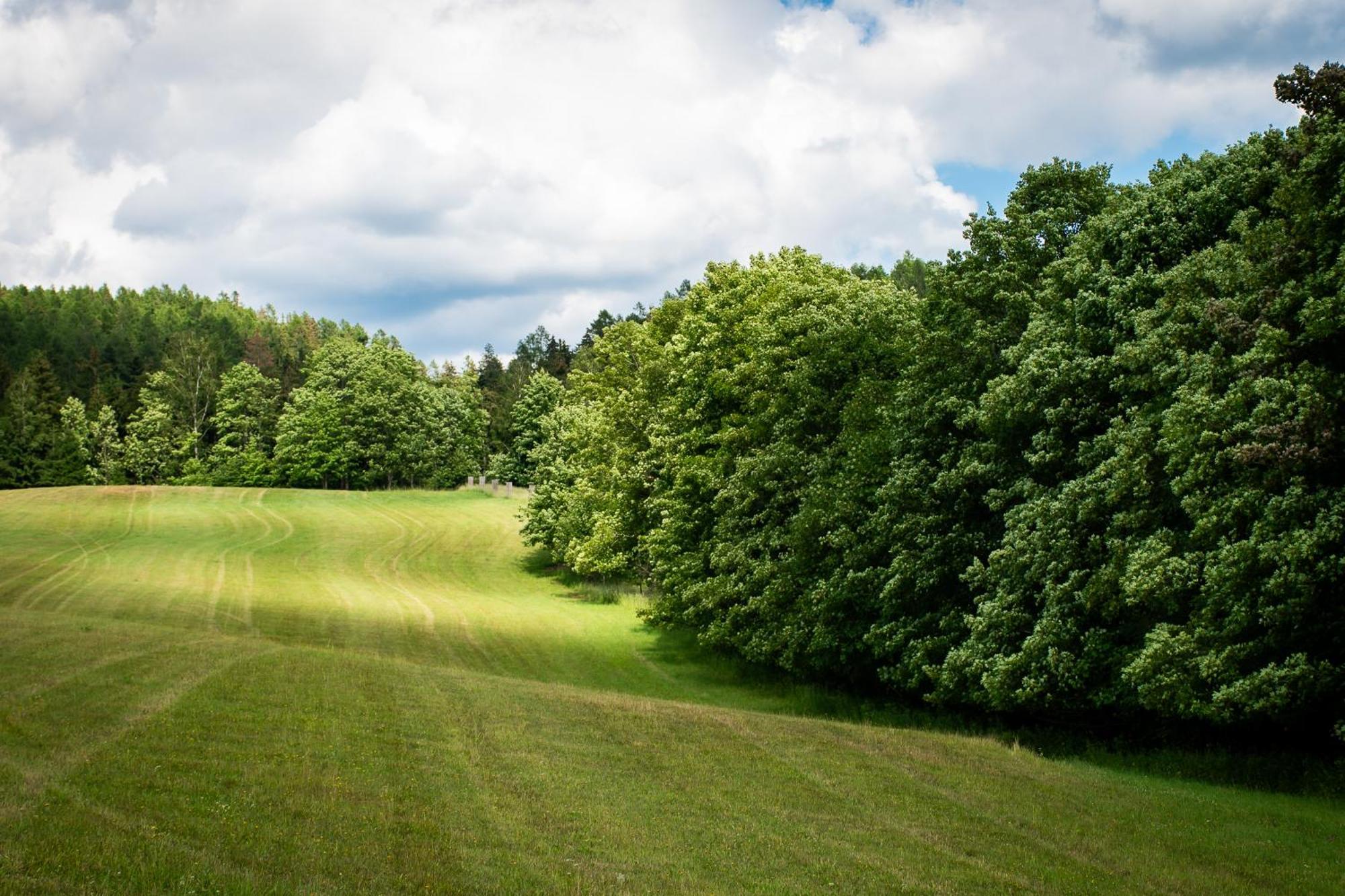 Penzion U Skoly Staré Město Exterior foto